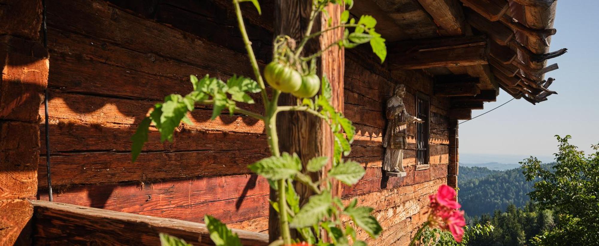Chalets Toplak Sveti Duh na Ostrem Vrhu Εξωτερικό φωτογραφία