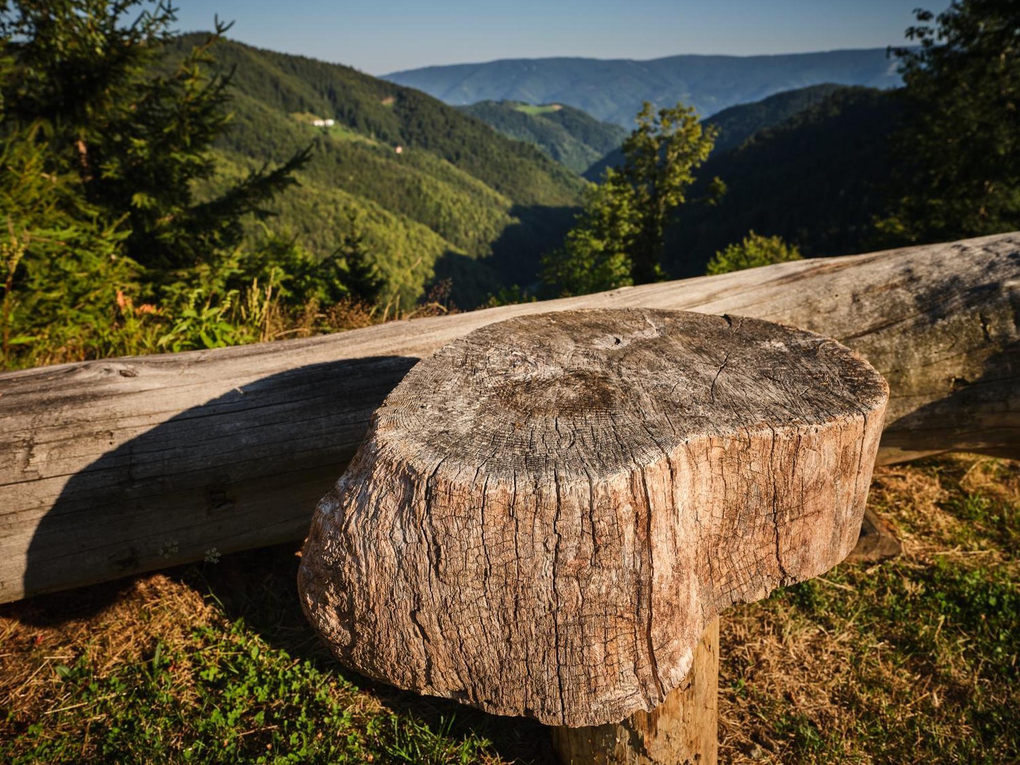 Chalets Toplak Sveti Duh na Ostrem Vrhu Εξωτερικό φωτογραφία