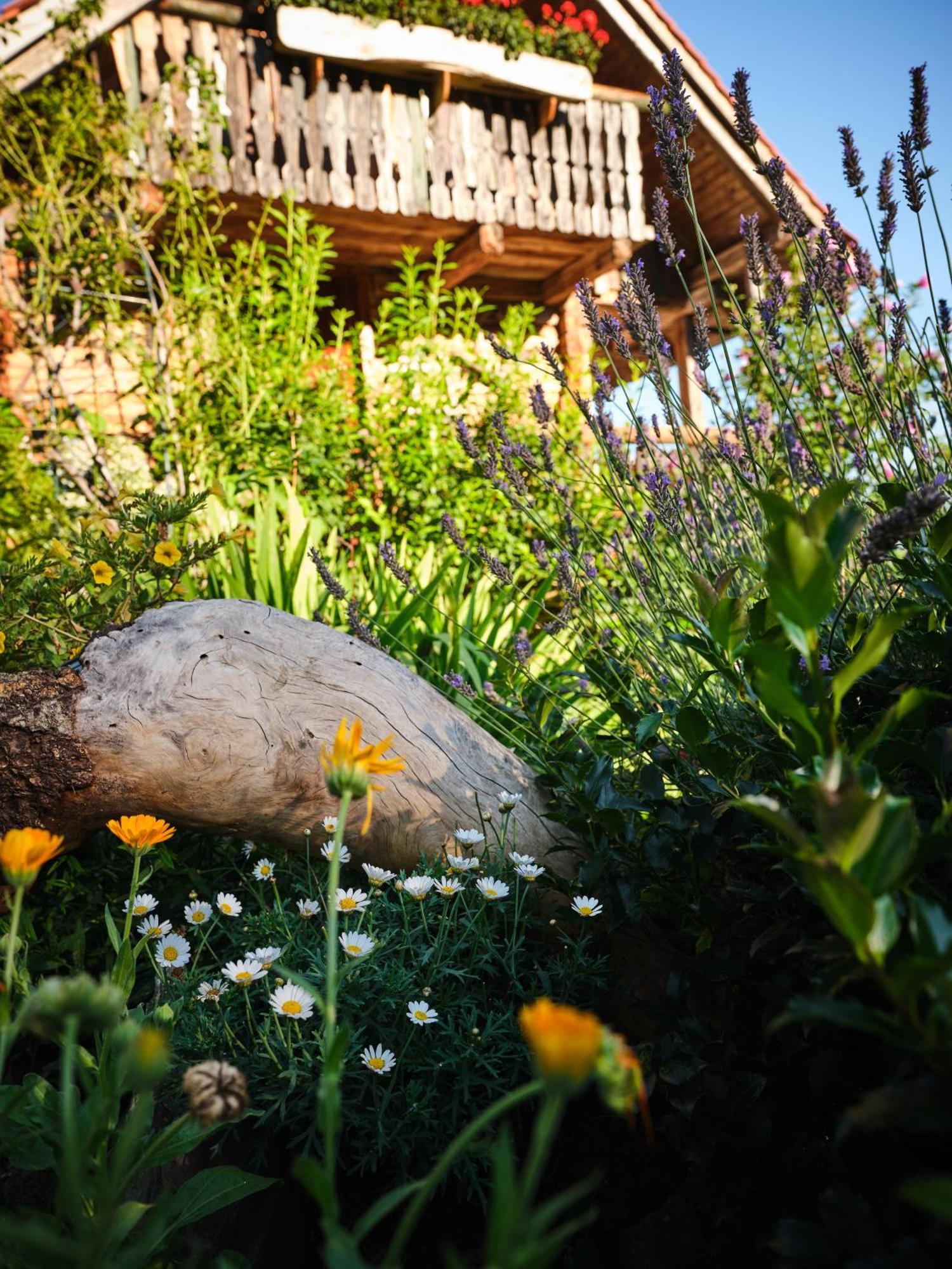 Chalets Toplak Sveti Duh na Ostrem Vrhu Εξωτερικό φωτογραφία