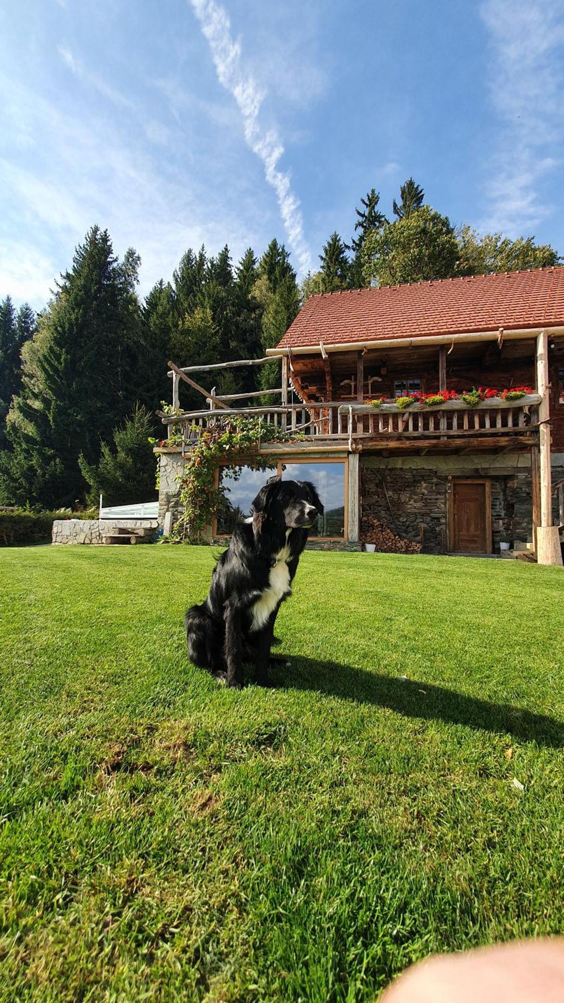Chalets Toplak Sveti Duh na Ostrem Vrhu Εξωτερικό φωτογραφία