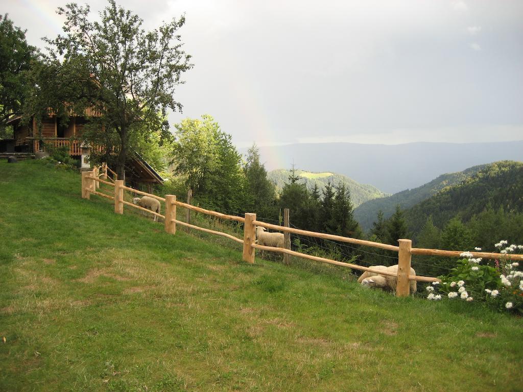 Chalets Toplak Sveti Duh na Ostrem Vrhu Εξωτερικό φωτογραφία